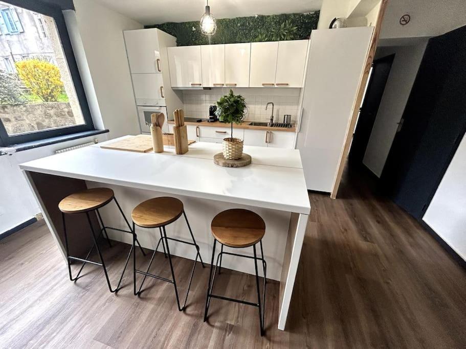 Le Puy en Velay - Appartement grand confort Extérieur photo