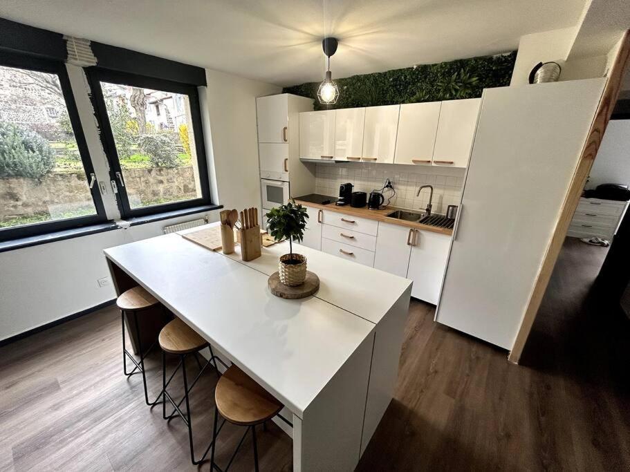 Le Puy en Velay - Appartement grand confort Extérieur photo
